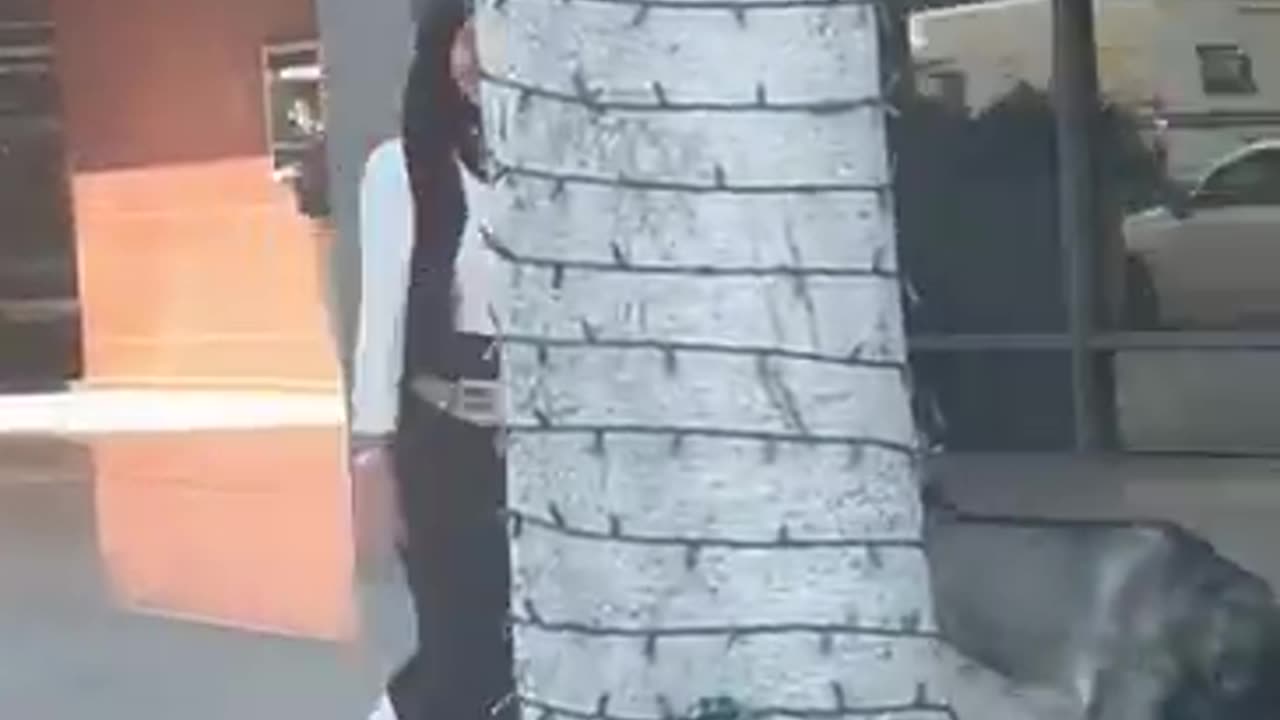 A woman in Beverly Hills wearing a hijab does the Nazi salute.