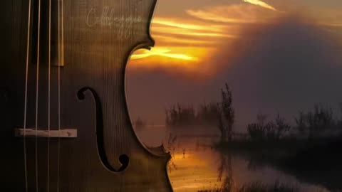 A Calm Cello and Piano Playlist for Reading 5