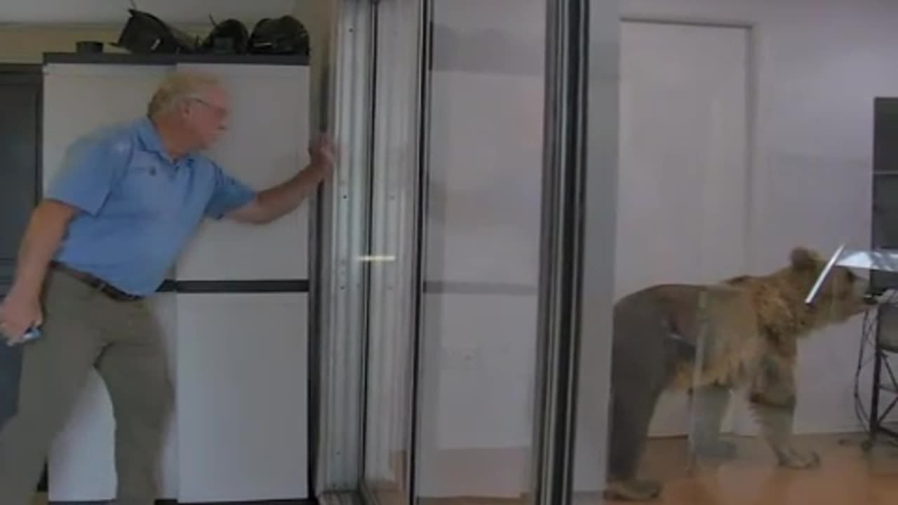 Putting a real Grizzly Bear in my house & hiring an exterminator to catch it