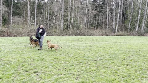 Meeka and Grizz hangout 290324982