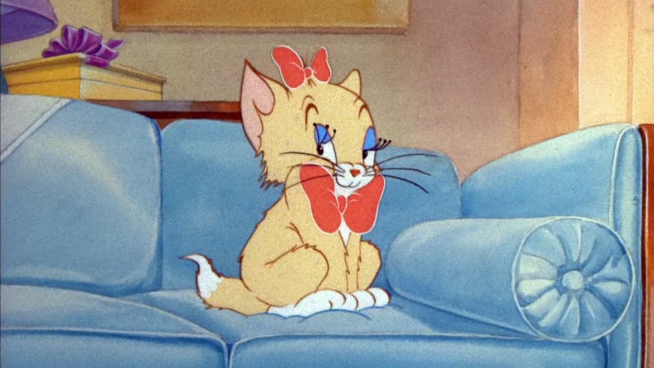 tom and jerry 7