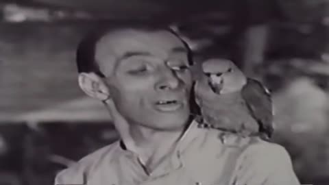 Ramar of the Jungle - episode 7