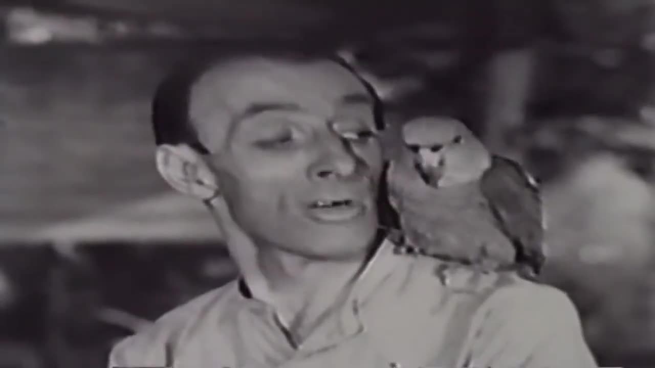 Ramar of the Jungle - episode 7