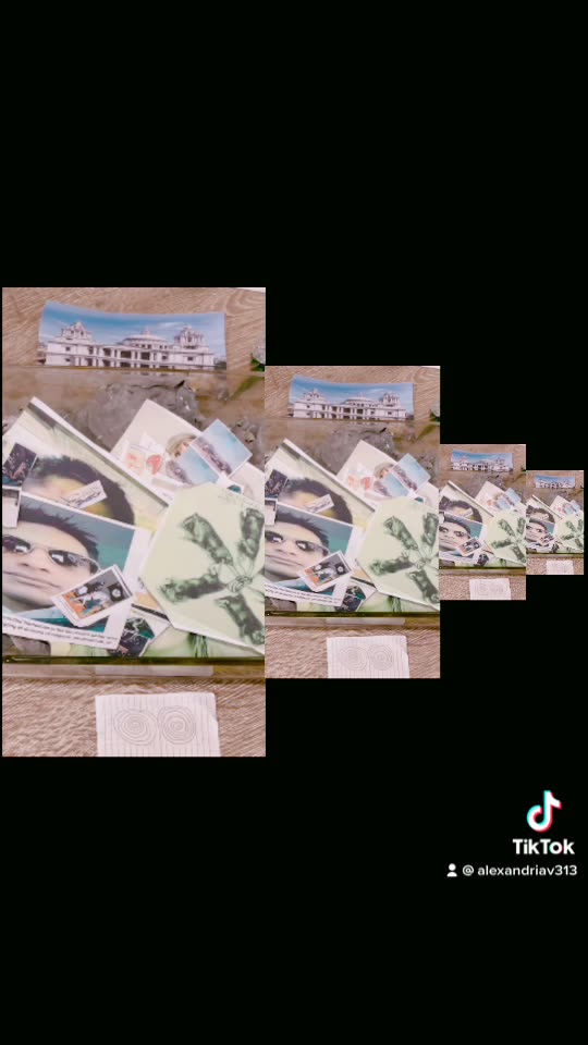 Tim Rifat TikTok Videos