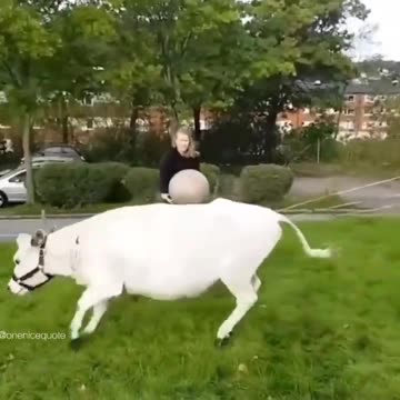 Because every heart can feel affection & LOVE