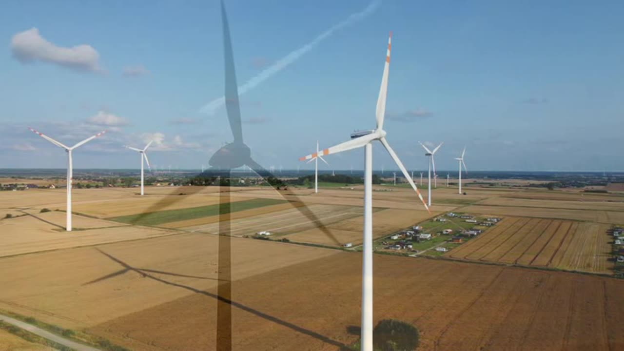 Vetrom porobené (Caused by the wind)