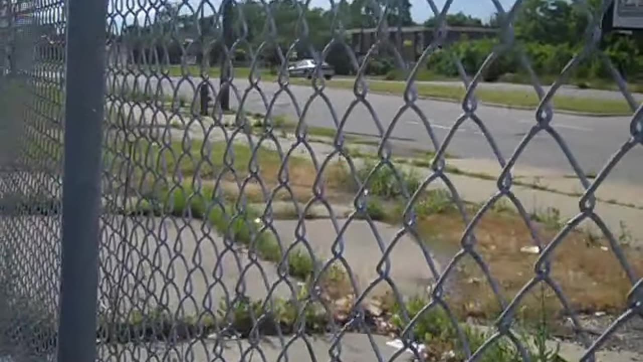at the city dump in detroit,,,,THE SHEA SHOW