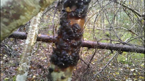 Il Lavoro Non E' Occupazione (Settembre 2023)