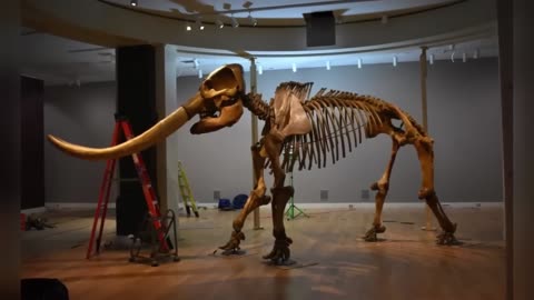 Prehistoric Ancient Animal Facts To Fall Asleep part 2