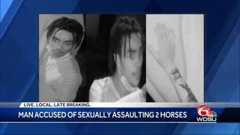 NOPD searching for black man accused of sex acts with two horses