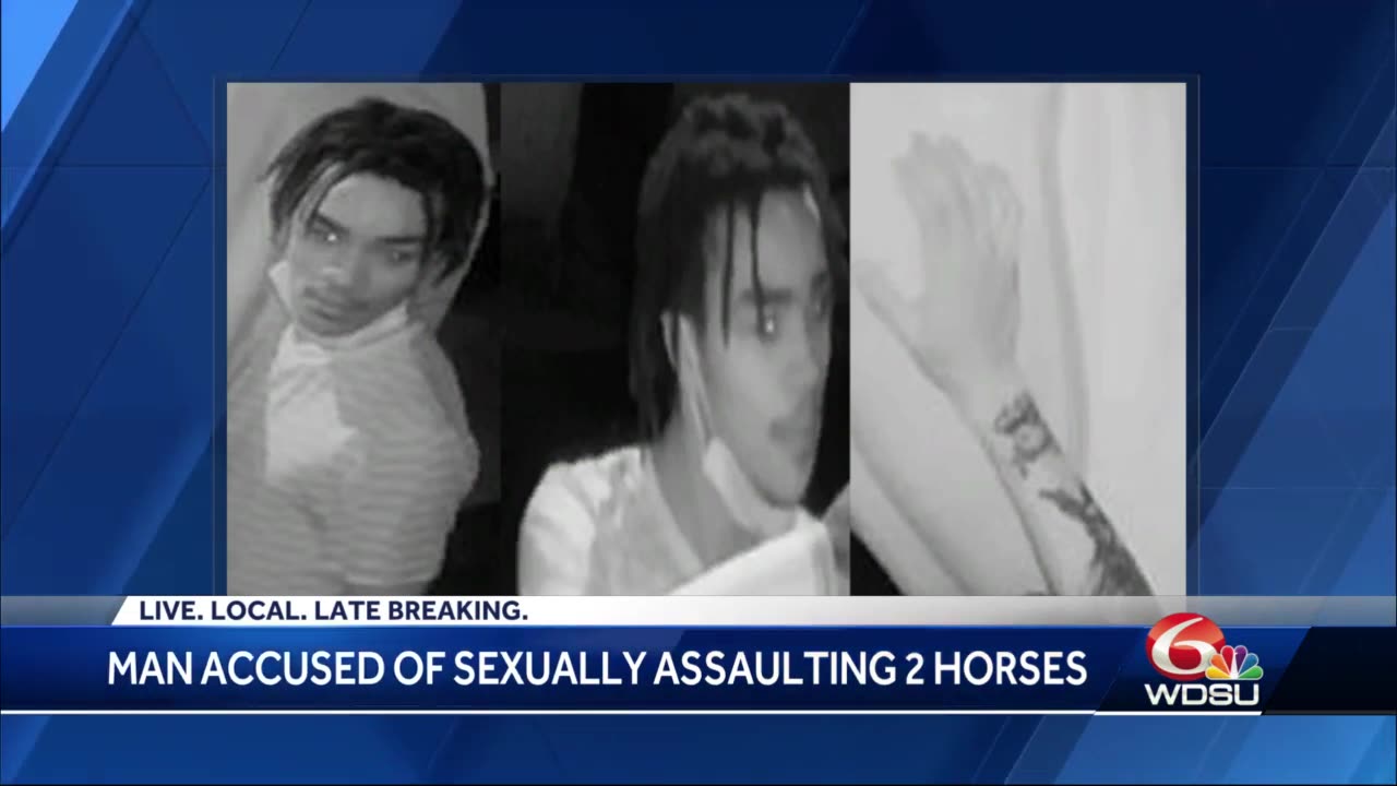 NOPD searching for black man accused of sex acts with two horses