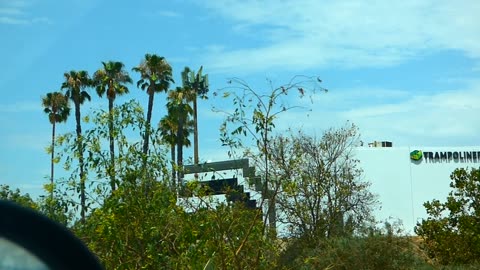 Dog park...err, tramp park...wait...TRAMPOLINE PARK BUILDING!!