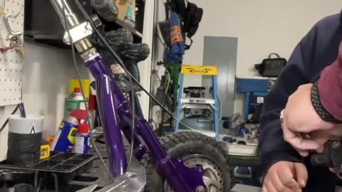 live assembly of project dbx