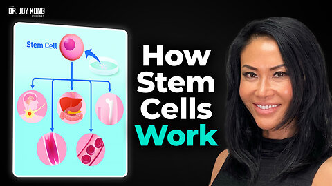 Had Your First Stem Cell Treatment? Here’s What to Expect Next…