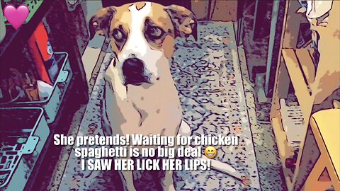 Wait For It-Good Girl!