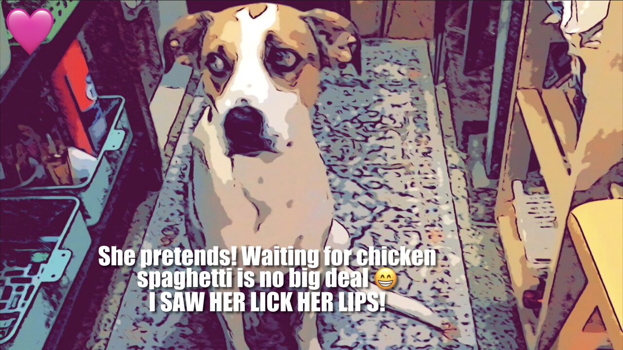 Wait For It-Good Girl!