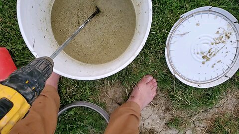 Raising Healthy Chickens: My Journey with Fermented Feed