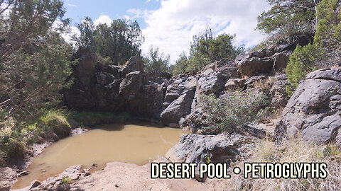 Witch Pond: Desert Pool, Petroglyphs, and Paiute Tradition