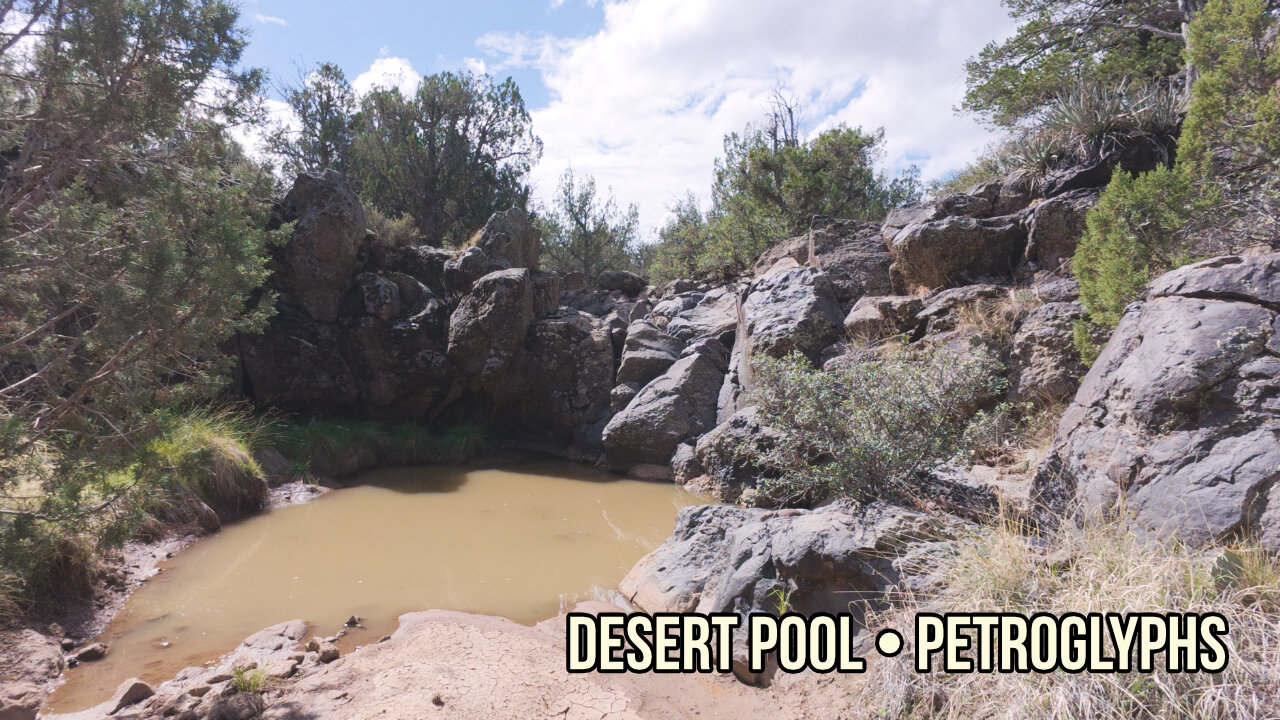 Witch Pond: Desert Pool, Petroglyphs, and Paiute Tradition
