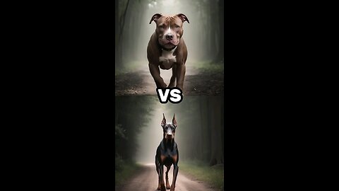 Doberman vs Rottweiler vs Corso Labrador vs German Shepherd vs Husky