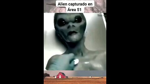 😶‍🌫️