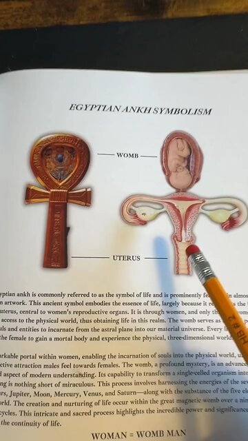 🌺 WOMAN: THE SACRED PORTAL OF CREATION 🌺