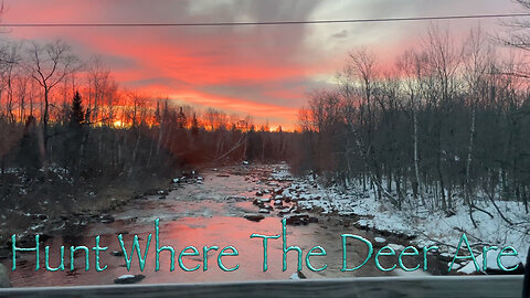 Hunt Where the Deer Are