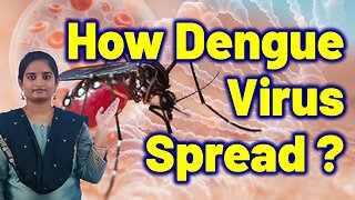 How Dengue Spreads In Humans ? | Homeopathy,Medicine Treatment Cure & Surgery