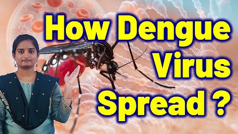 How Dengue Spreads In Humans ? | Homeopathy,Medicine Treatment Cure & Surgery