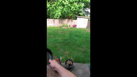 Perfect Weapon