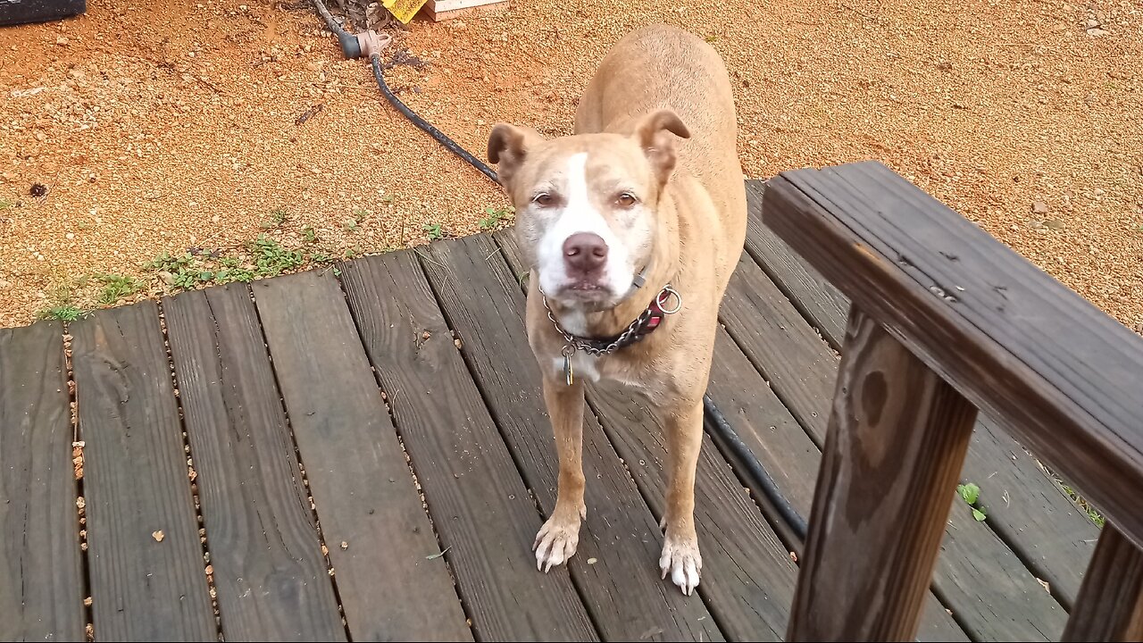 Update Shiloh's Retreat