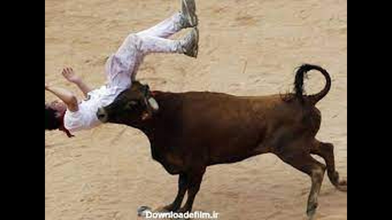 Dangerous Bull Fight Accidents Compilation | Lucky and Funny People Fail Video Clips