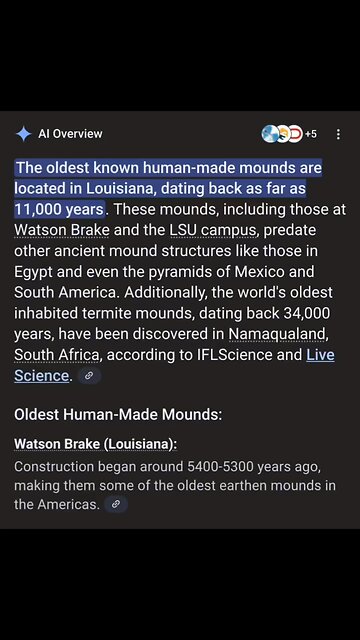 They plagiarized the whole book