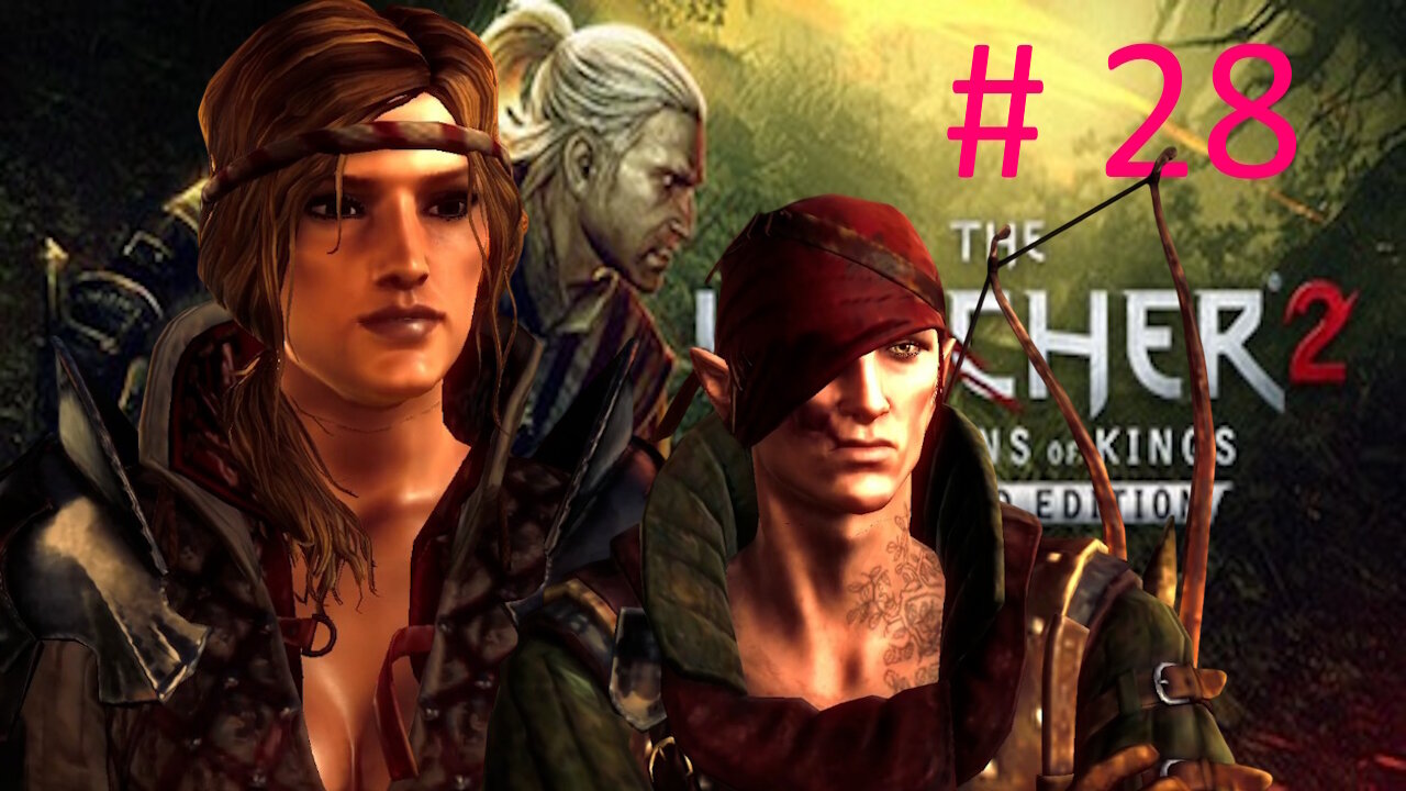 Let's Play Witcher 2 BLIND # 28 - The War Council