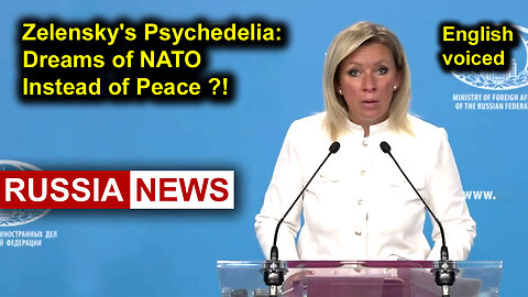 Zelensky's Psychedelia: Dreams of NATO Instead of Peace?!