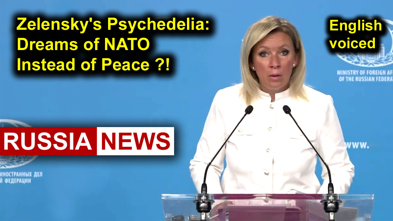 Zelensky's Psychedelia: Dreams of NATO Instead of Peace?!
