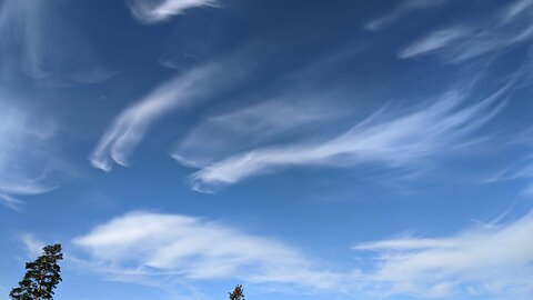 21.8.2025: White trails, weird clouds(?), halo color? sun halo