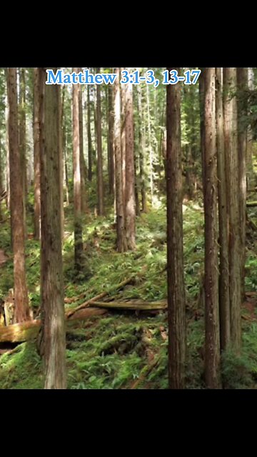 Matthew 1: 1-3,13-17