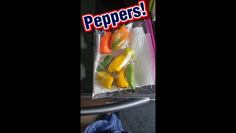 Peppers!