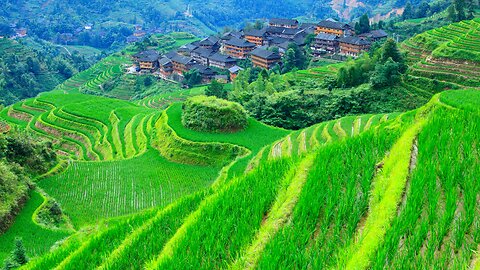 Wealth Distance Grounding Emotional Marathon Reiki Meditation Zen Rap ! Like Share Donate Today!