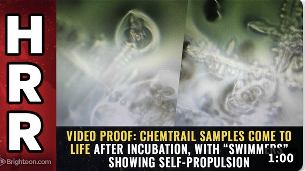 Chemtrail samples COME TO LIFE after incubation, with “swimmers” showing self-propulsion