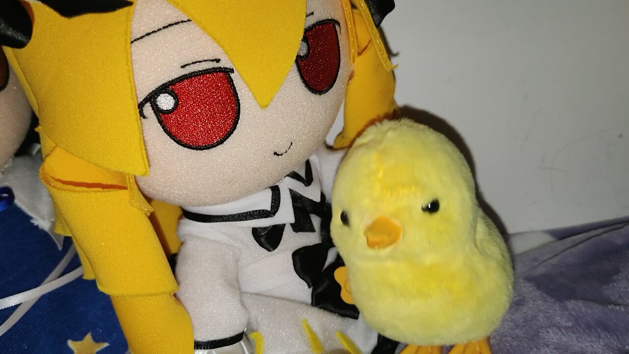 Luna and his chick