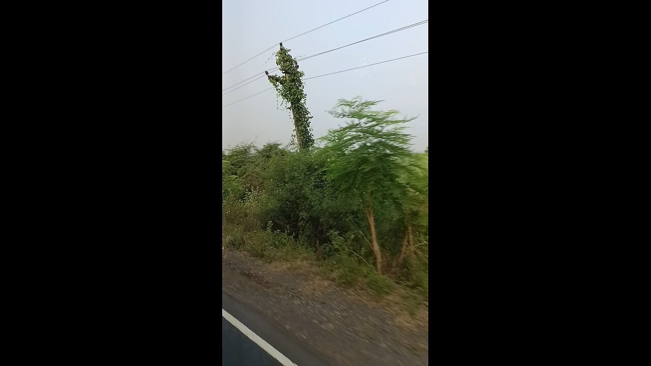 bidarbh