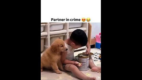 दिल है छोटा सा