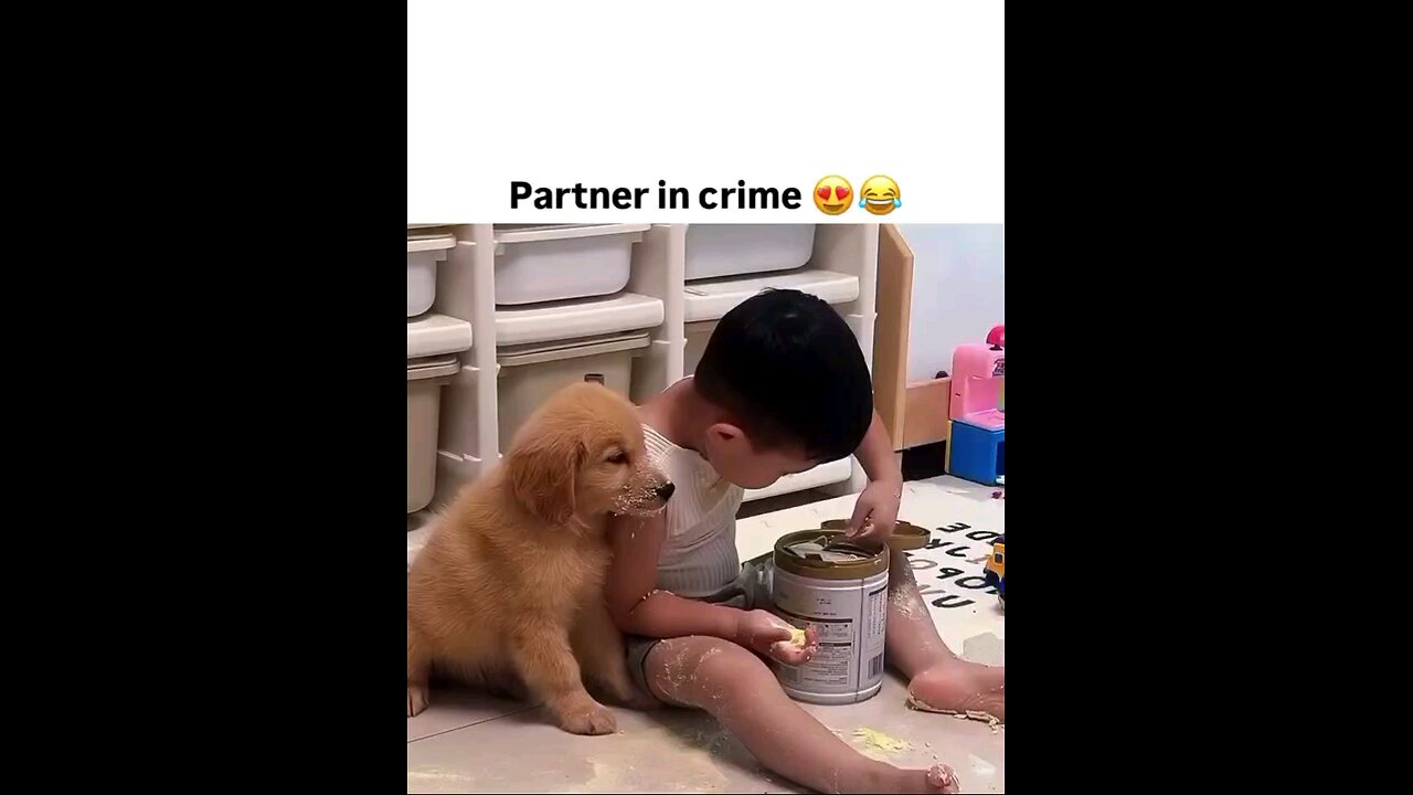 दिल है छोटा सा