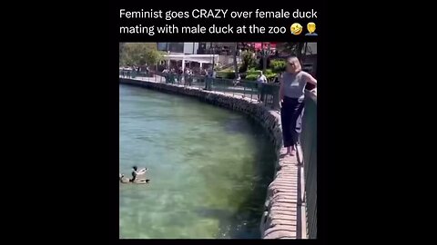 Woman at zoo loses it over ducks mating LOL