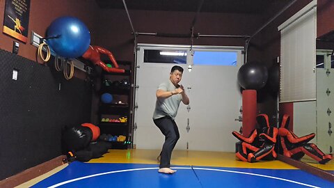 WTD 2 Step Kick Combination 109