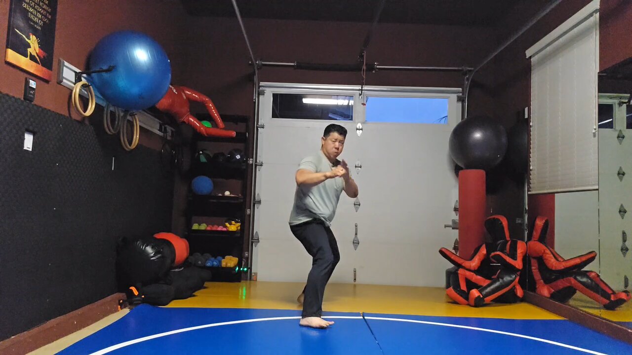 WTD 2 Step Kick Combination 109