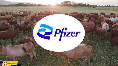 Why The World Is Rejecting U.S. Beef (The Dark Truth) Hustlebitch 🎯SEE DESC🎯