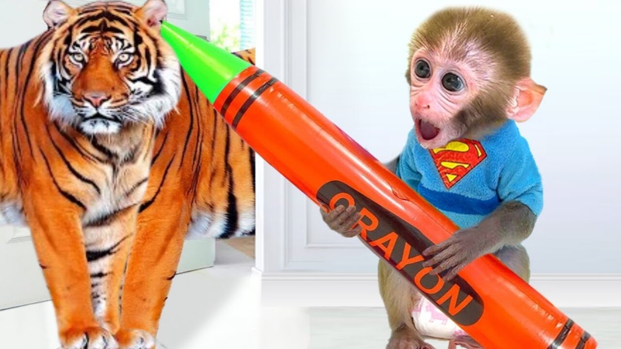 Bonmonkeykiki eats Sweet Cola Jelly with ducklings in the garden and goes shark fishing
